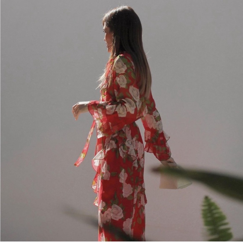 Zara Ruffled Dress - Picture 6 of 7